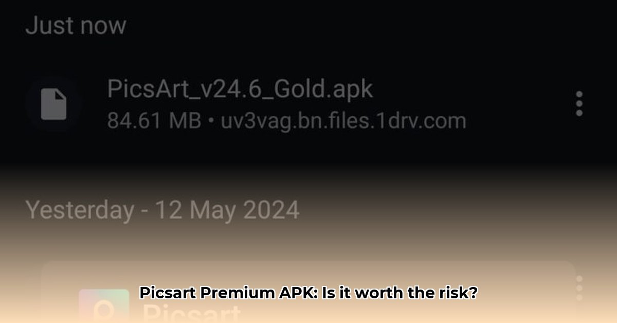 picsart-premium-apk-reddit